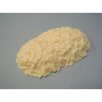 脂肪模型　2kg　IP-971