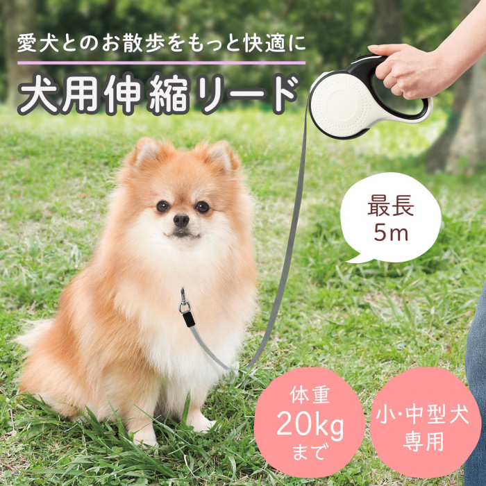 愛犬とのお散歩をもっと快適に