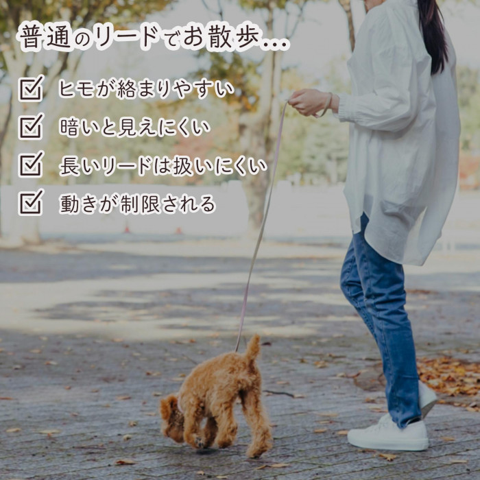 普通のリードでのお散歩のお悩み