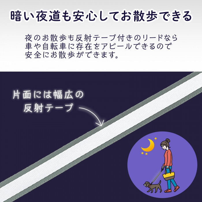 暗い夜道も安心してお散歩できる