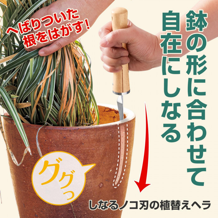 鉢の形に合わせて自在にしなるヘラ。へばりついた根を剥がします。