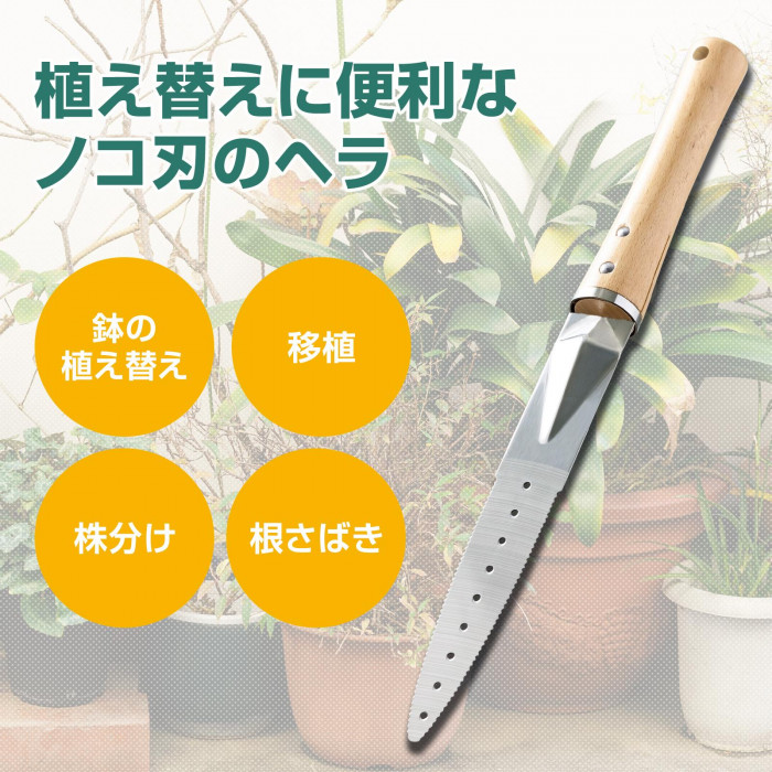 植え替え、移植、株分け、根さばきに。