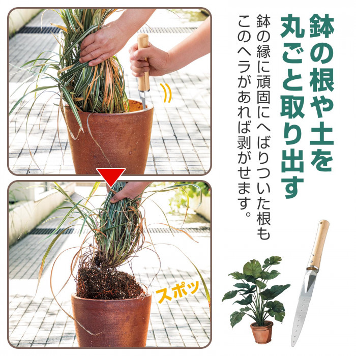 鉢の根や土を丸ごと取り出せる。