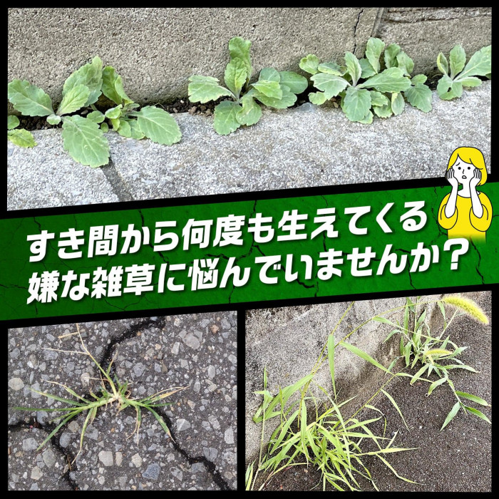 すき間から何度も生えてくる嫌な雑草に悩んでいる方に