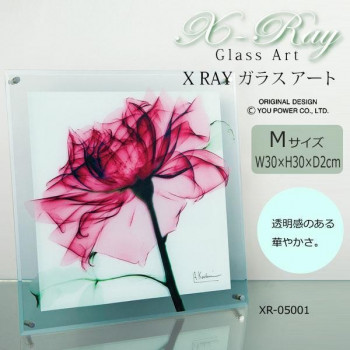 X RAY ガラス アート ティール ローズ Mサイズ XR-05001