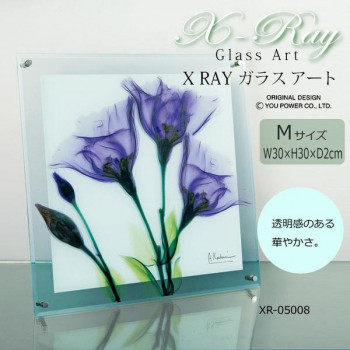 X RAY ガラス アート ジェンティアン Mサイズ XR-05008