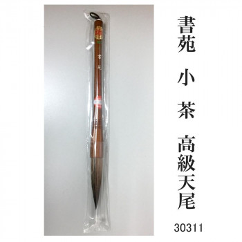 30311 書苑 小 茶 高級天尾 条幅 カタメ