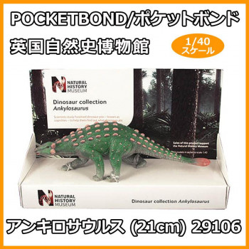 POCKETBOND/ポケットボンド 英国自然史博物館 アンキロサウルス (21cm) 29106