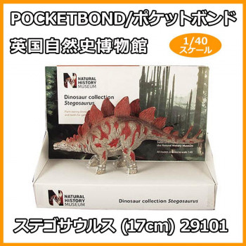 POCKETBOND/ポケットボンド 英国自然史博物館 ステゴサウルス (17cm) 29101