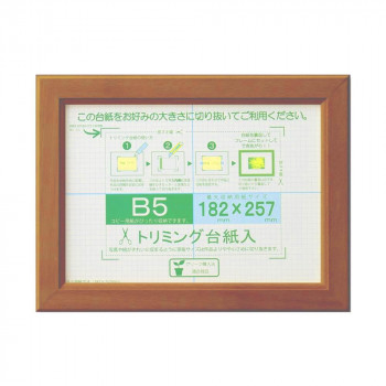 OA額 OAカノエ B5 ブラウン 33J635D6001