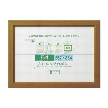 OA額 OAカノエ B4 ブラウン 33J635D6201