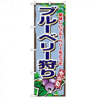 Nのぼり 1380 今が旬 ブルーベリー狩り