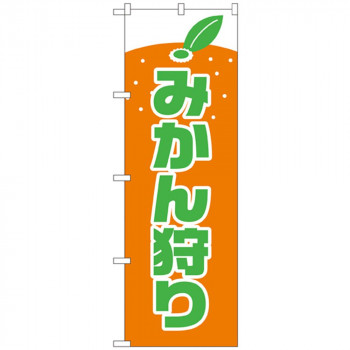 Nのぼり 2236 みかん狩り