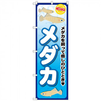 Gのぼり GNB-2492 メダカ