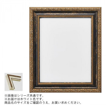 アルナ 樹脂フレーム デッサン額 1644 ホワイト コピー紙B5 13699