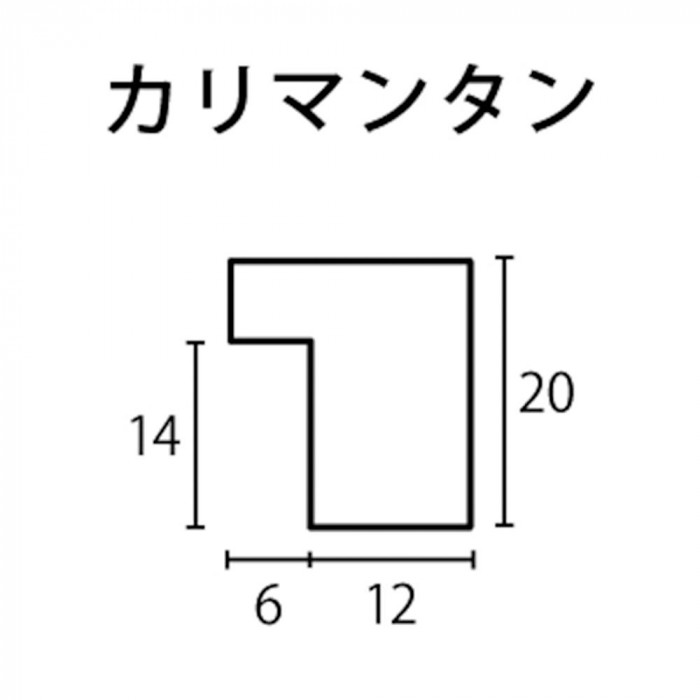 ※断面図