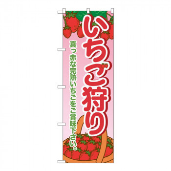Gのぼり SNB-1429 いちご狩り