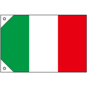 N国旗(販促用) 23652 イタリア ミニ
