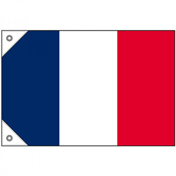 N国旗(販促用) 23673 フランス ミニ
