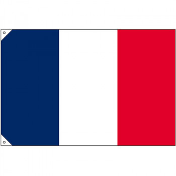 N国旗(販促用) 23674 フランス 小