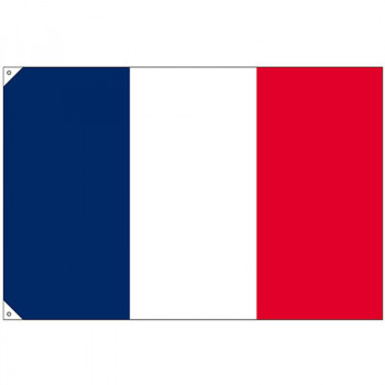 N国旗(販促用) 23675 フランス 大