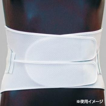 日本衛材 腰部固定帯 ダイヤサポートIII型 4L 110cm～120cm 1個 NE-570