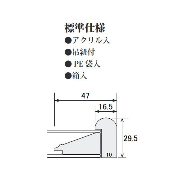※断面図(単位/mm)
