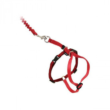 PetSafe Japan ペットセーフ イージーウォーク ネコ用ハーネス＆バンジーリード L レッド CWMK-L-RED