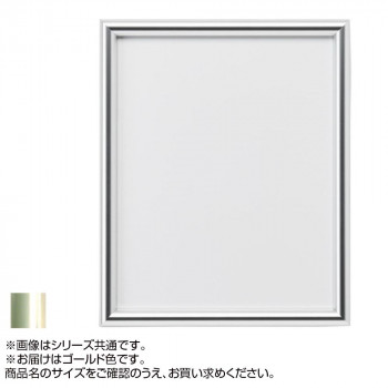 アルナ アルミフレーム デッサン額 IC ゴールド 八切(303×243)・602
