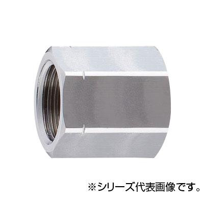 SANEI メスメスソケット T213-20