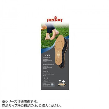Pedag(ペダック)  インソール レザー 28.5～29.0 45