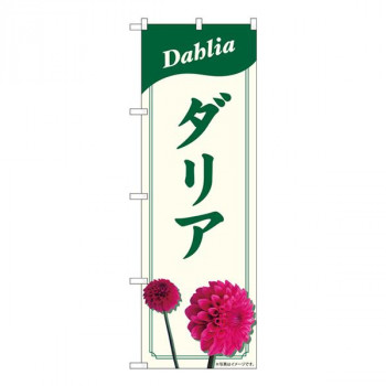 Nのぼり　ダリア NAD　W600×H1800mm　82705