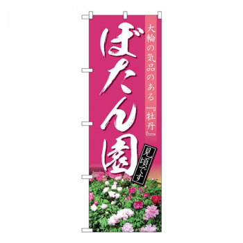 Nのぼり　ぼたん園 見頃 NAD　W600×H1800mm　82712