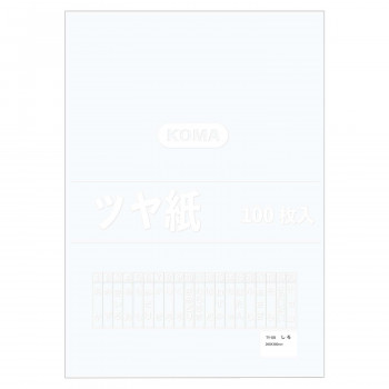 ツヤ紙 100枚入 しろ TY-08 1 セット