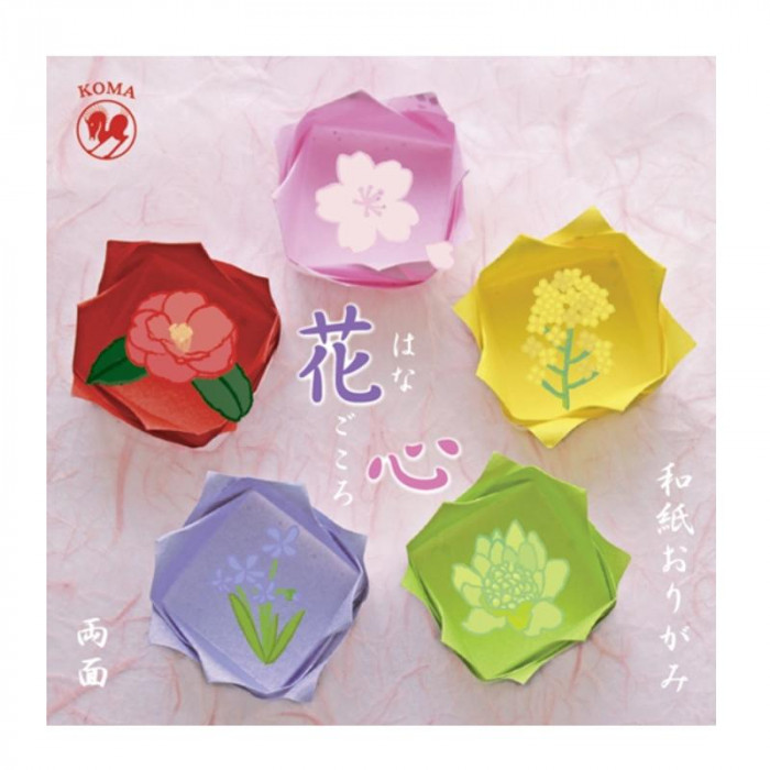 花心　色込　15cm P0100 10 セット