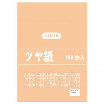 ツヤ紙 100枚入 はだ TY-12 1セット