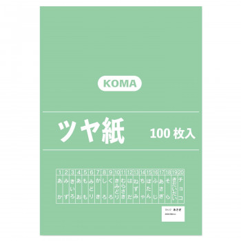 ツヤ紙 100枚入 あさぎ TY-17 1セット
