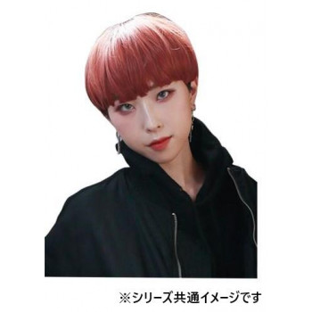 プリシラ オールK-POP マッシュ CTA-200 耐熱　CTCB・カッパーブラウン