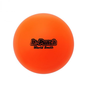 野球 バッティング練習用 Jr.パンチ 250g BX77-09