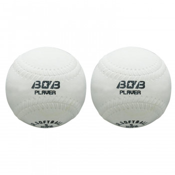 野球 ピッチング練習用 9インチスポンジボール 2個入 BL71-40