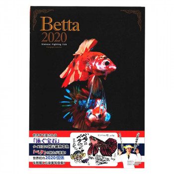 ファンタジーワールド Betta 2020 書籍 BETTA2020