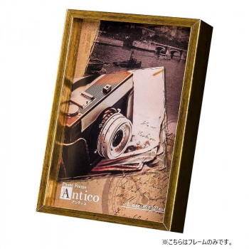 ナカバヤシ　アンティコ　インテリアフレーム　L　ゴールド　F-TP-101-GD