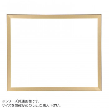 デッサン額 桜平型 ゴールド 大衣509×394 アクリル