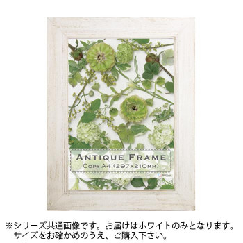 アンティークフレーム平型40 ホワイト A3(421×298)