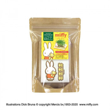 miffy ミッフィー　スプラウト栽培キット　マスタードプラウト　DB1250C