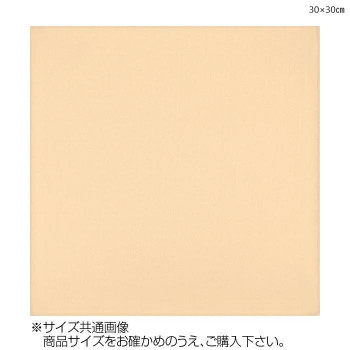 トレシー カラークロス 30×30cm A3030-YOO G-48 ピーチ