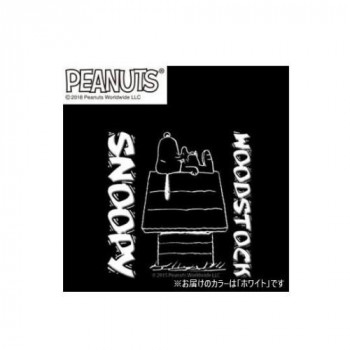 アークス(axs) SNS-35 SNOOPY(スヌーピー) 転写ステッカー HOUSE ホワイト