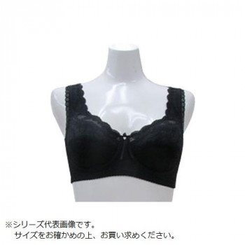 TAMURA シルキーボディシェイプ多機能 フルカップブラジャー YTA04 ブラック L