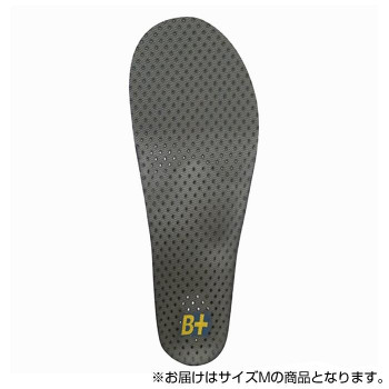 ホシノ インソール Flying Foot Hoshino Insole B+VC25M Variable Control 25M  M