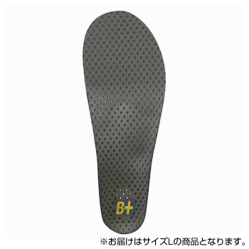 ホシノ インソール Flying Foot Hoshino Insole B+VC25M Variable Control 25M  L